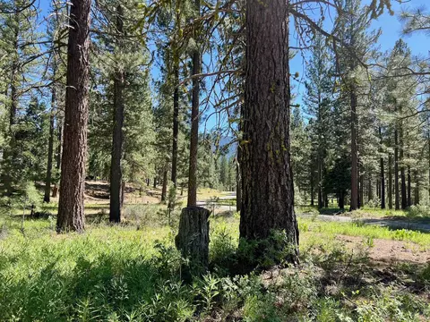 1855 Valley Ranch Dr, Clio, CA 96106 photo 27