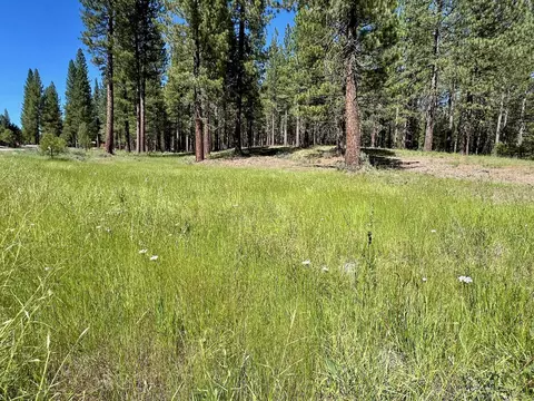 1855 Valley Ranch Dr, Clio, CA 96106 photo 5