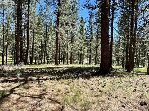 1855 Valley Ranch Dr, Clio, CA 96106 photo 21