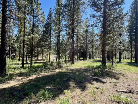 1855 Valley Ranch Dr, Clio, CA 96106 photo 24