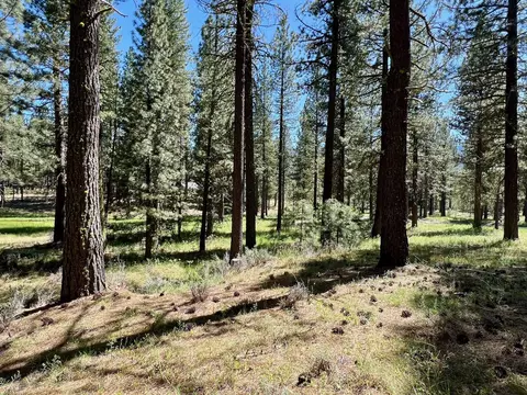 1855 Valley Ranch Dr, Clio, CA 96106 photo 23