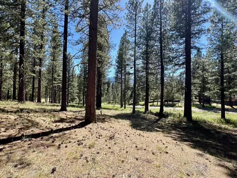 1855 Valley Ranch Dr, Clio, CA 96106 photo 6