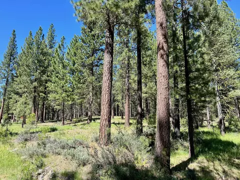1855 Valley Ranch Dr, Clio, CA 96106 photo 4