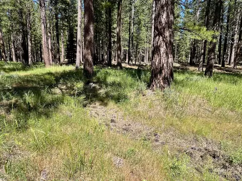 1855 Valley Ranch Dr, Clio, CA 96106 photo 14