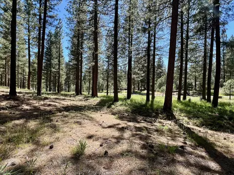 1855 Valley Ranch Dr, Clio, CA 96106 photo 16