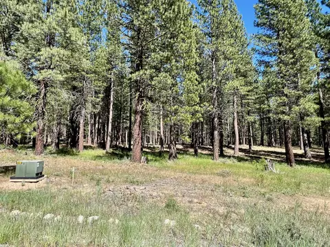 1855 Valley Ranch Dr, Clio, CA 96106 photo 12