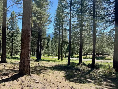 1855 Valley Ranch Dr, Clio, CA 96106 photo 2