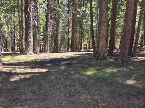 307 Raccoon Trl, Lake Almanor West, CA 96020