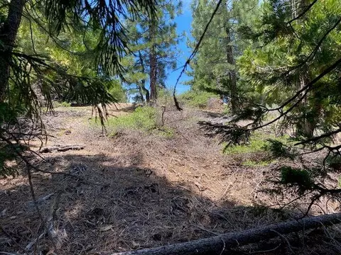 5961 W Bitterbrush Rd, Portola, CA 96122