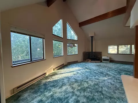 1690 Silver Fox Ln, Clio, CA 96106 photo 8
