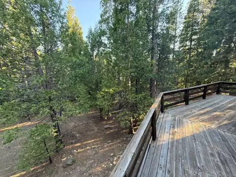 1690 Silver Fox Ln, Clio, CA 96106 photo 32