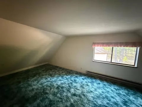 1690 Silver Fox Ln, Clio, CA 96106 photo 17