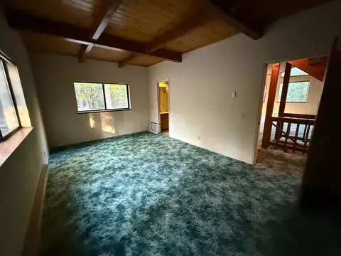 1690 Silver Fox Ln, Clio, CA 96106 photo 6