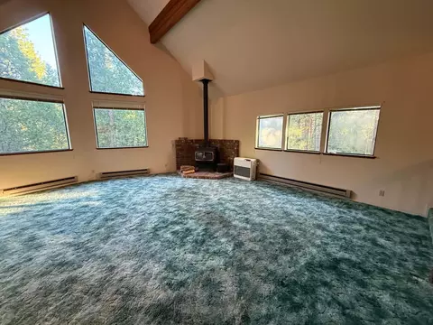 1690 Silver Fox Ln, Clio, CA 96106 photo 9