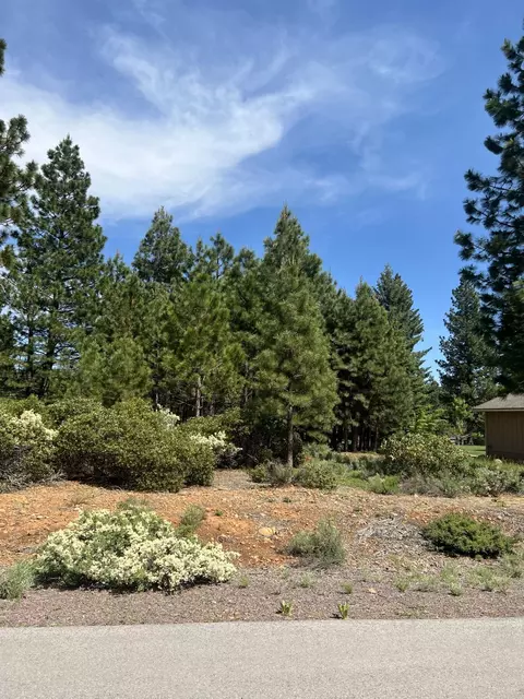 87 Flint Way, Lake Almanor, CA 96137