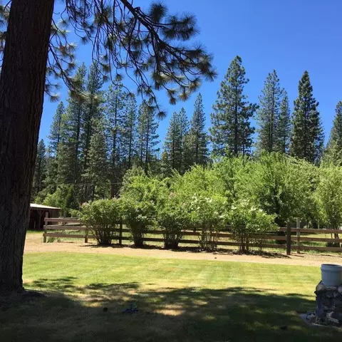 Exterior - 58411 Cedar Ln, Cromberg, CA 96103 photo 2 of 11