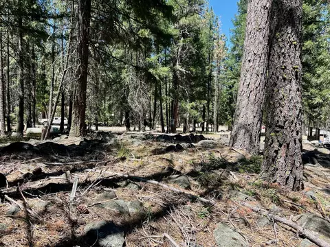 27 Kato Trl, Graeagle, CA 96103 photo 22
