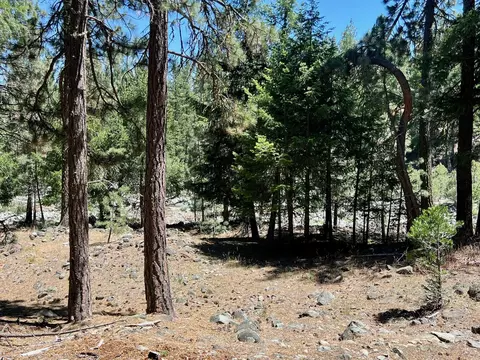 27 Kato Trl, Graeagle, CA 96103 photo 21