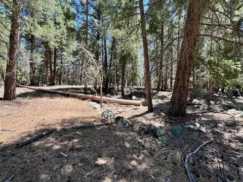 27 Kato Trl, Graeagle, CA 96103 photo 9