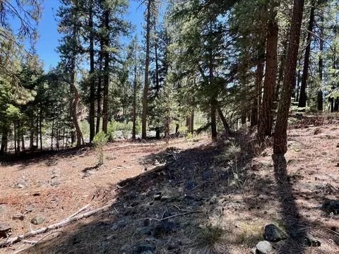 27 Kato Trl, Graeagle, CA 96103 photo 20