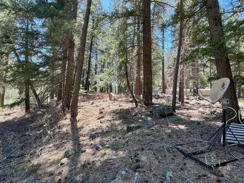 27 Kato Trl, Graeagle, CA 96103 photo 19
