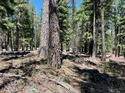 27 Kato Trl, Graeagle, CA 96103 photo 23