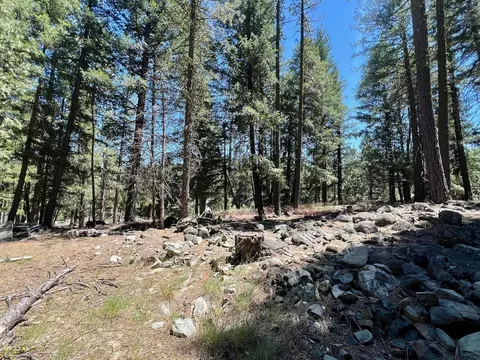 27 Kato Trl, Graeagle, CA 96103 photo 16