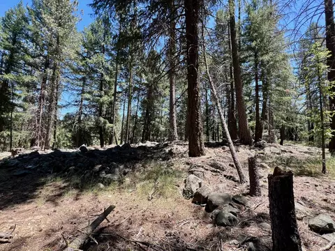 27 Kato Trl, Graeagle, CA 96103 photo 13
