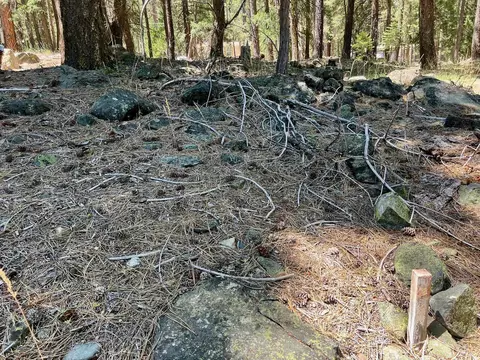 27 Kato Trl, Graeagle, CA 96103 photo 17