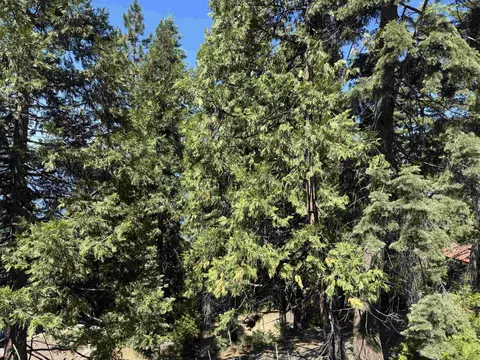 739 Lassen View Dr, Lake Almanor, CA 96137