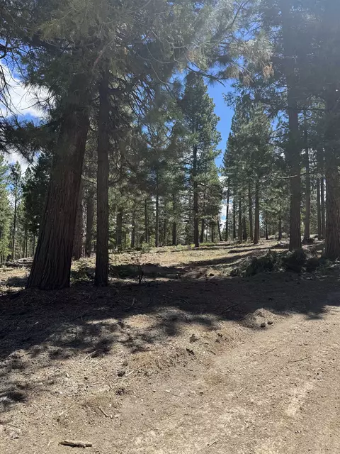 2245 Xanadu Rd, Clio, CA 96106 photo 2