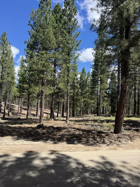 2245 Xanadu Rd, Clio, CA 96106 photo 17