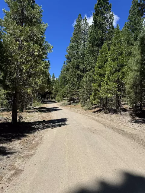 2245 Xanadu Rd, Clio, CA 96106 photo 3