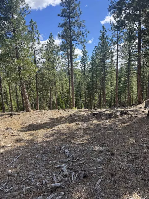 2245 Xanadu Rd, Clio, CA 96106 photo 24