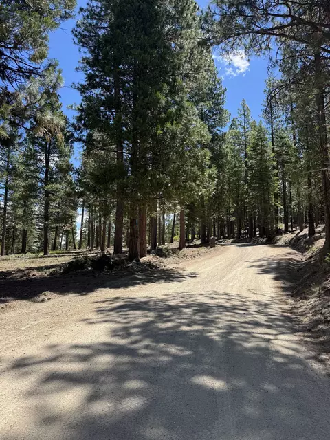 2245 Xanadu Rd, Clio, CA 96106 photo 4