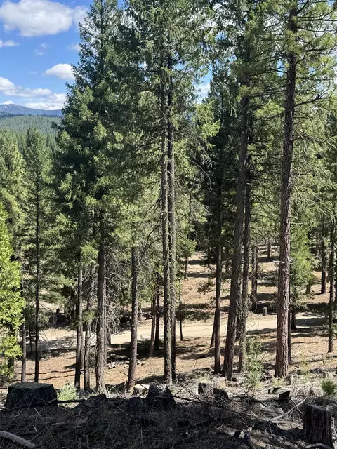 2245 Xanadu Rd, Clio, CA 96106 photo 6