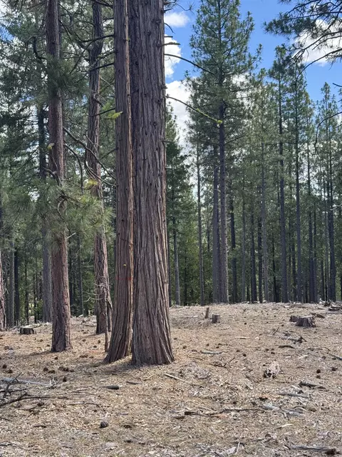 2245 Xanadu Rd, Clio, CA 96106 photo 12