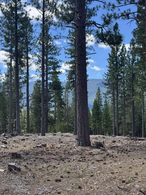 2245 Xanadu Rd, Clio, CA 96106 photo 10