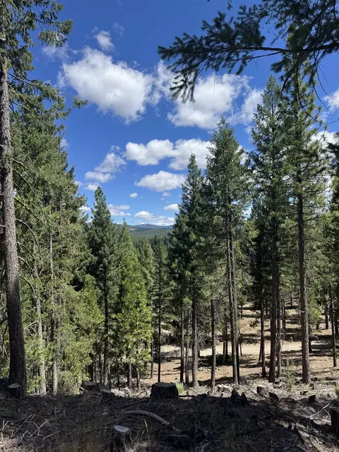 2245 Xanadu Rd, Clio, CA 96106 photo 8