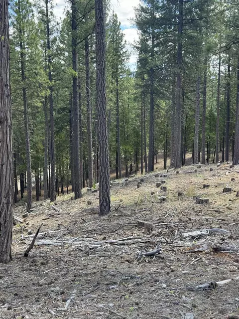2245 Xanadu Rd, Clio, CA 96106 photo 13