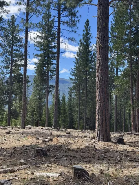2245 Xanadu Rd, Clio, CA 96106 photo 9