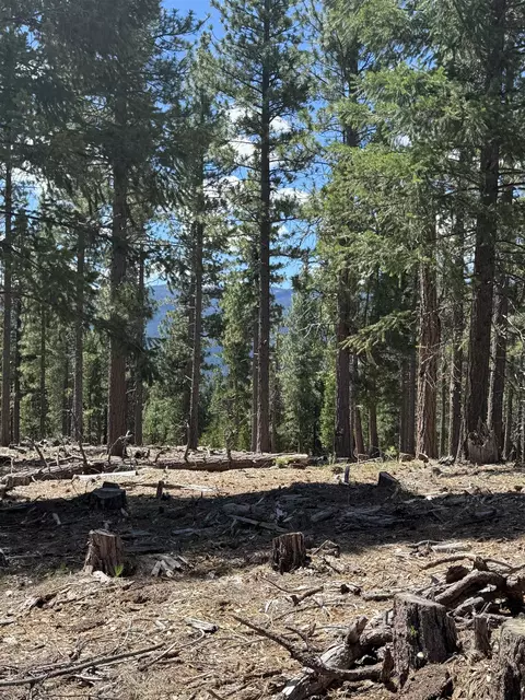 2245 Xanadu Rd, Clio, CA 96106 photo 5