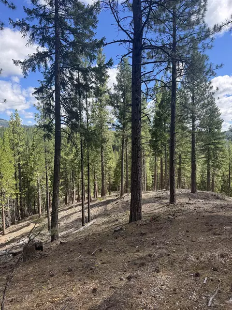 2245 Xanadu Rd, Clio, CA 96106 photo 25