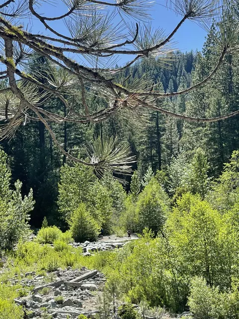 2245 Xanadu Rd, Clio, CA 96106 photo 38
