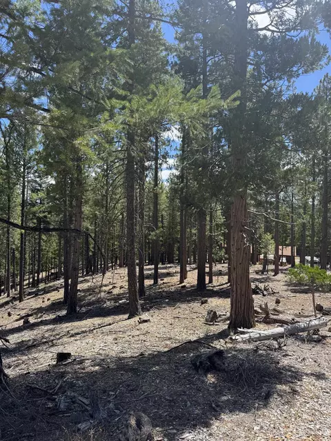2245 Xanadu Rd, Clio, CA 96106 photo 7