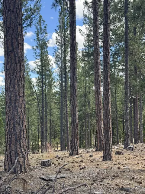 2245 Xanadu Rd, Clio, CA 96106 photo 11