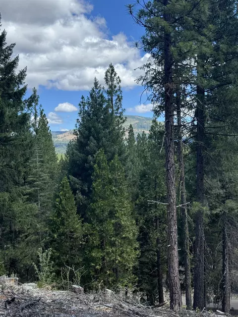2245 Xanadu Rd, Clio, CA 96106 photo 14