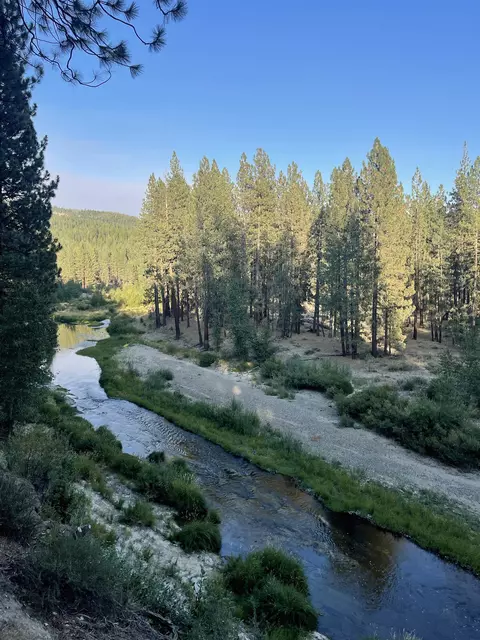 2245 Xanadu Rd, Clio, CA 96106 photo 37