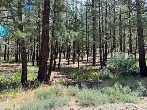 200 Portola Ave, Portola, CA 96122