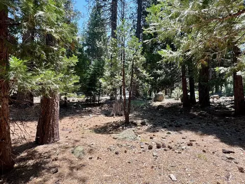 83 Paiute Trl, Graeagle, CA 96103 photo 11